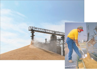 Photo 2. The dust generated at these grain elevator environments is the fuel.