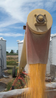 Photo 3. Sparks from the normal operation of switches, contacts, rotating machinery, and fuses can generate sufficient energy to ignite dust clouds.