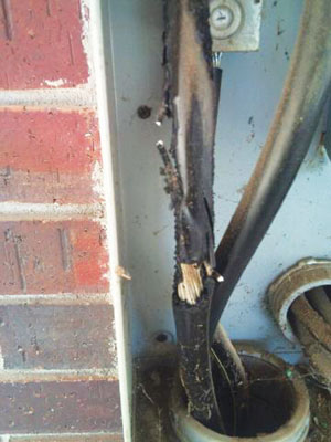 Photo 4. Conductor damage due to insulation failure that is not detectable from the exterior of the meter enclosure.
