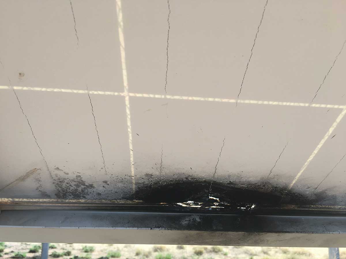 Photo 3. Example of PV module failure caused by busbar corrosion not backsheet degradation.
