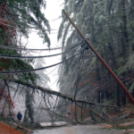 Downed power lines after winter storm. Courtesy of PSNH
