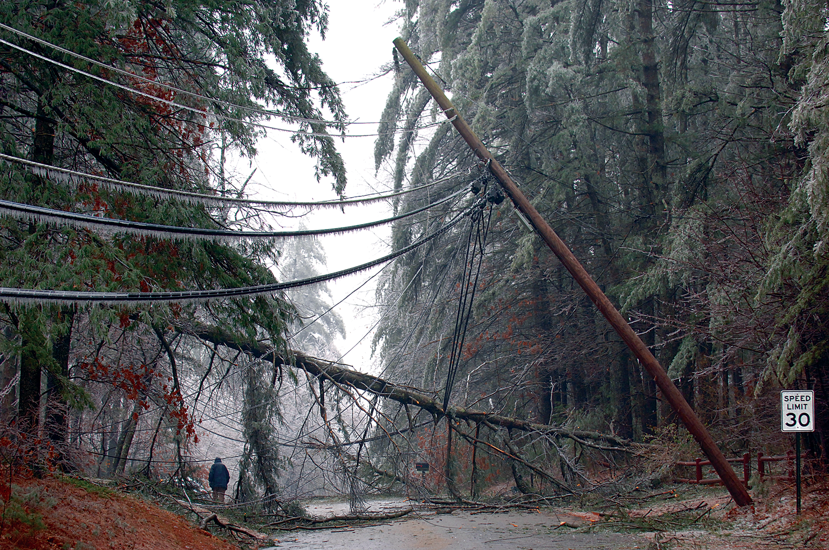 Downed power lines after winter storm. Courtesy of PSNH
