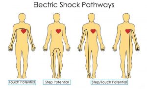 Figure 2. Electric shock pathways